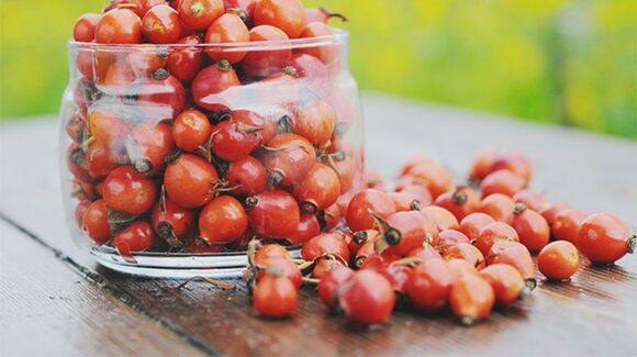 Rosehip to treat diabetes